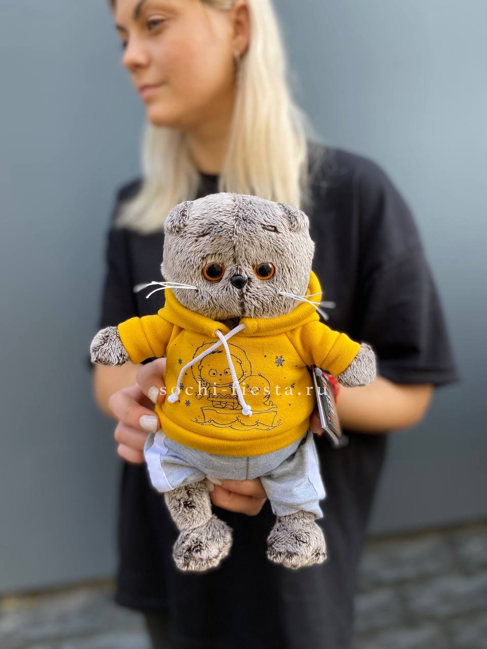 Кот Басик в худи в Хосте и Кудепсте