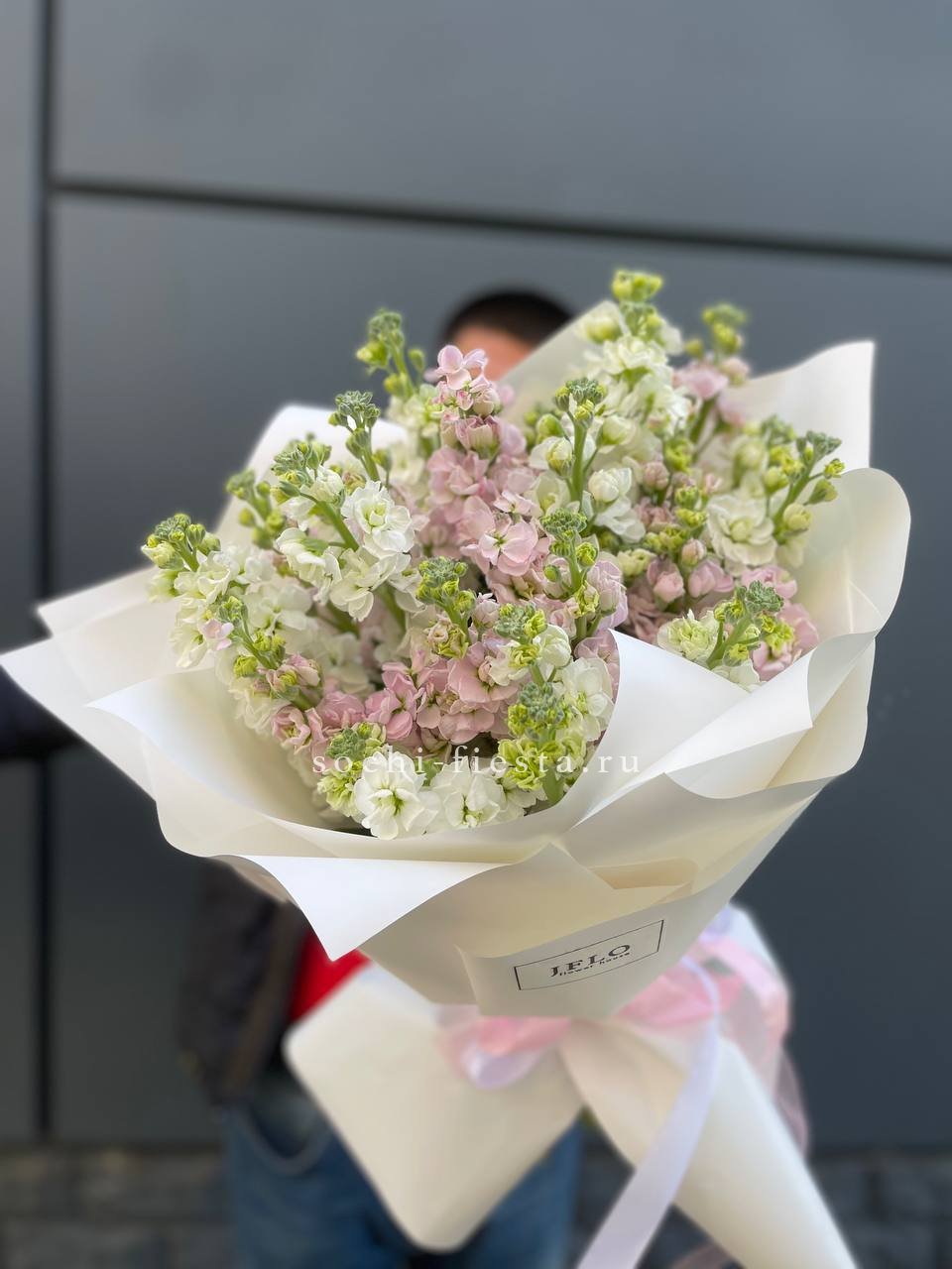 29 маттиол  в Хосте и Кудепсте