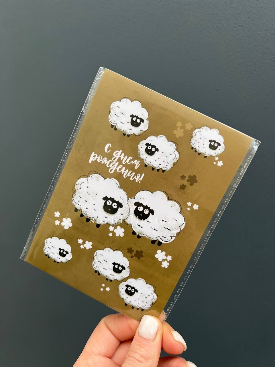 Открытка к букету "С днем рождения!” Овечки  в Хосте и Кудепсте