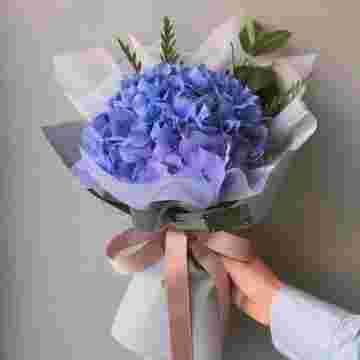 Гортензия "Blue" в Хосте и Кудепсте