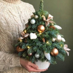 НОВЫЙ ГОД в Array с доставкой и по самым низким ценам