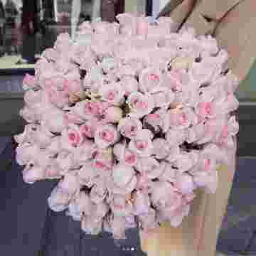 Pink boom в Хосте и Кудепсте