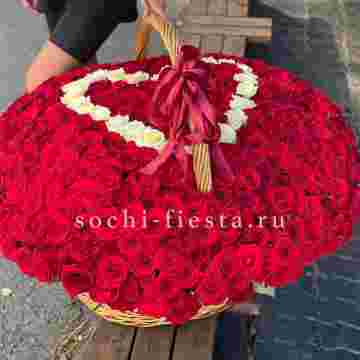 505 роз в Хосте и Кудепсте