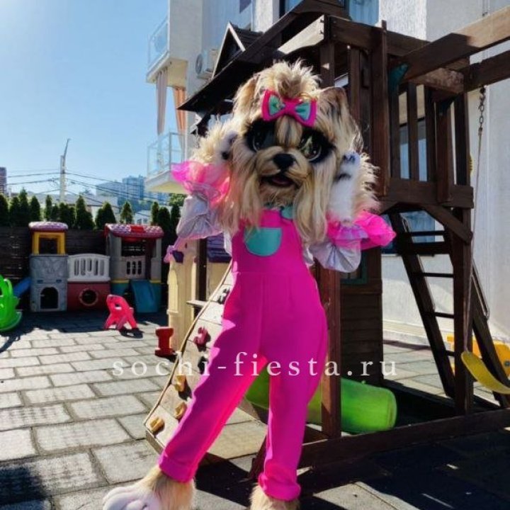 Аниматор Гламурная Собака в Хосте и Кудепсте