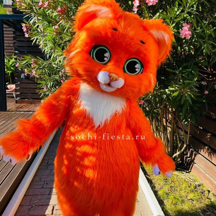 Аниматор Котик в Хосте и Кудепсте