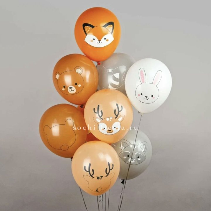 Воздушный шар "Животные" в Хосте и Кудепсте