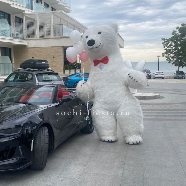 Аниматор Белый Медведь в Хосте и Кудепсте