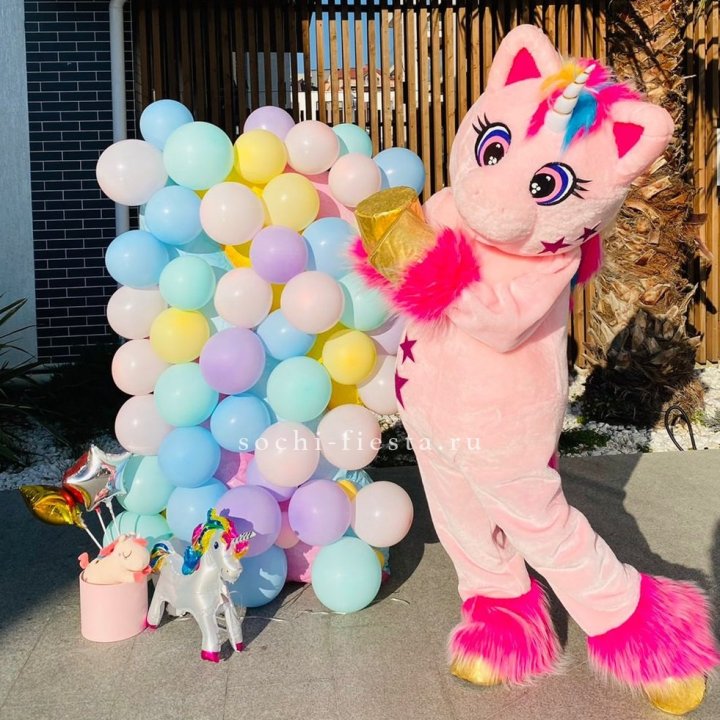 Аниматор Единорог в Хосте и Кудепсте