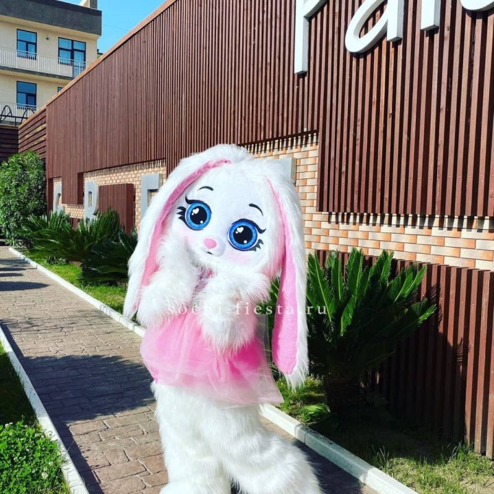 Аниматор Зайка в Хосте и Кудепсте