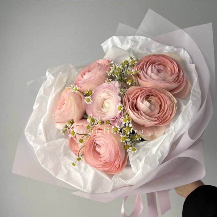 Ранункулюсы с ромашками в Хосте и Кудепсте