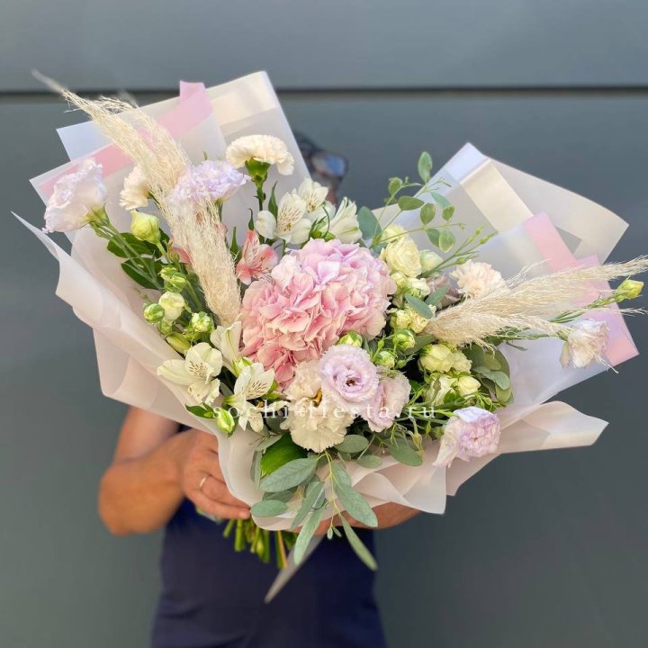 Гортензия "Pink Floyd" в Хосте и Кудепсте