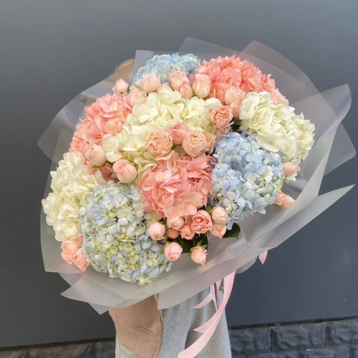 Дуо гортензии и бомбастик в Хосте и Кудепсте