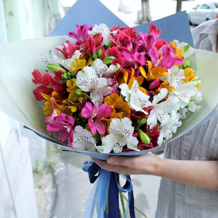 Rainbow M в Хосте и Кудепсте