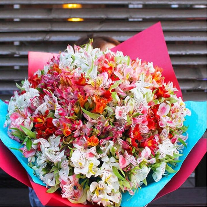 101 альстромерия в Хосте и Кудепсте