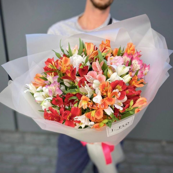 Rainbow XL в Хосте и Кудепсте