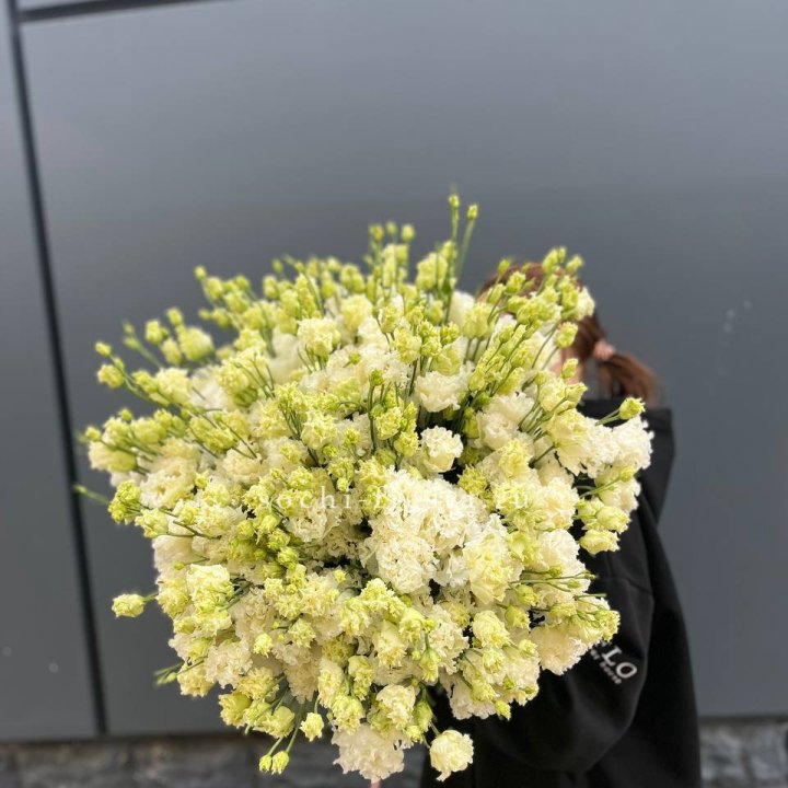 51 белая эустома в Хосте и Кудепсте