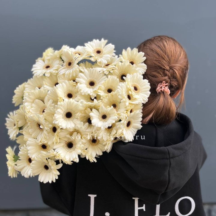 51 гербера в Хосте и Кудепсте