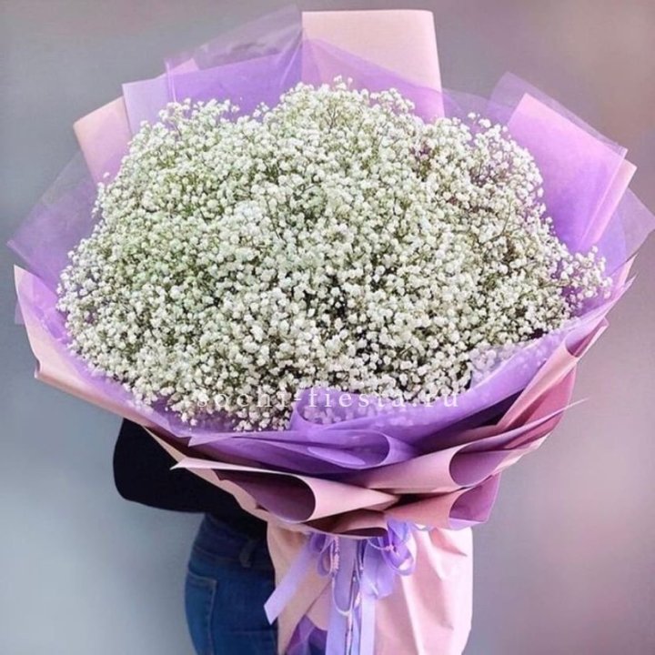 Облако белых гипсофил в Хосте и Кудепсте