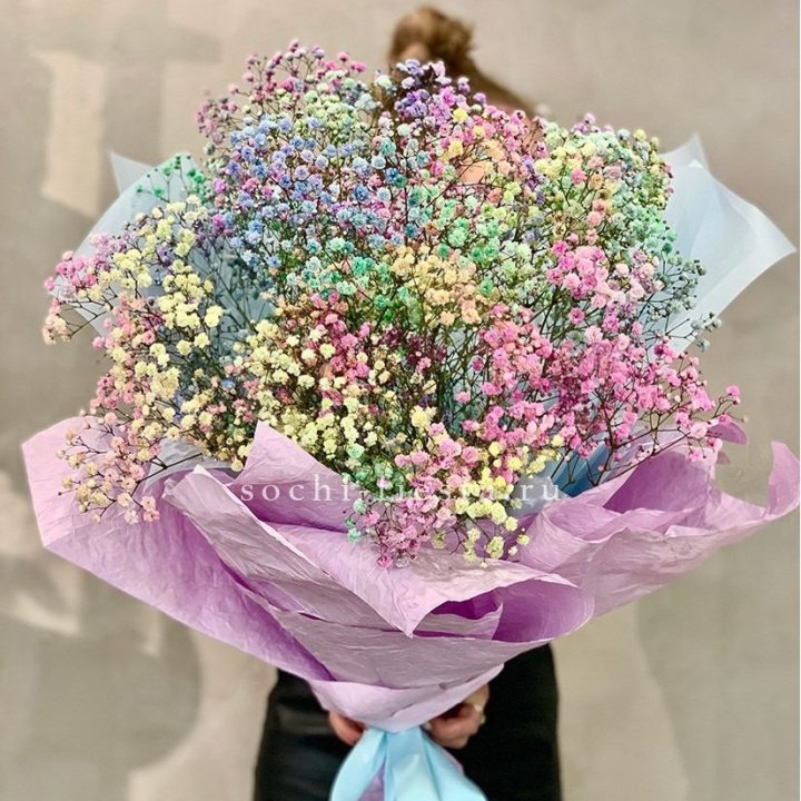 Радужные гипсофилы M в Хосте и Кудепсте