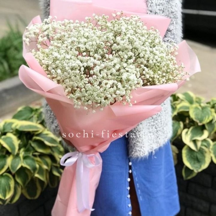 Белоснежные гипсофилы в Хосте и Кудепсте