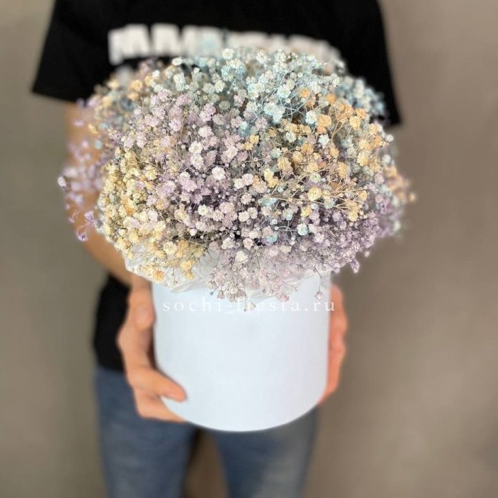 9 Радужных гипсофил в шляпной коробке в Хосте и Кудепсте