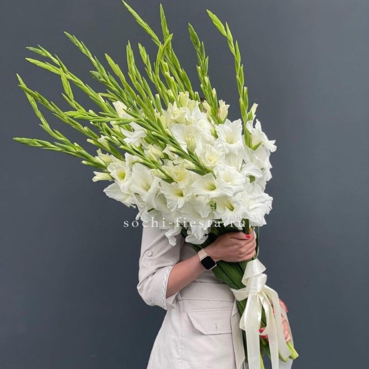 19 белых гладиолусов под ленту в Хосте и Кудепсте