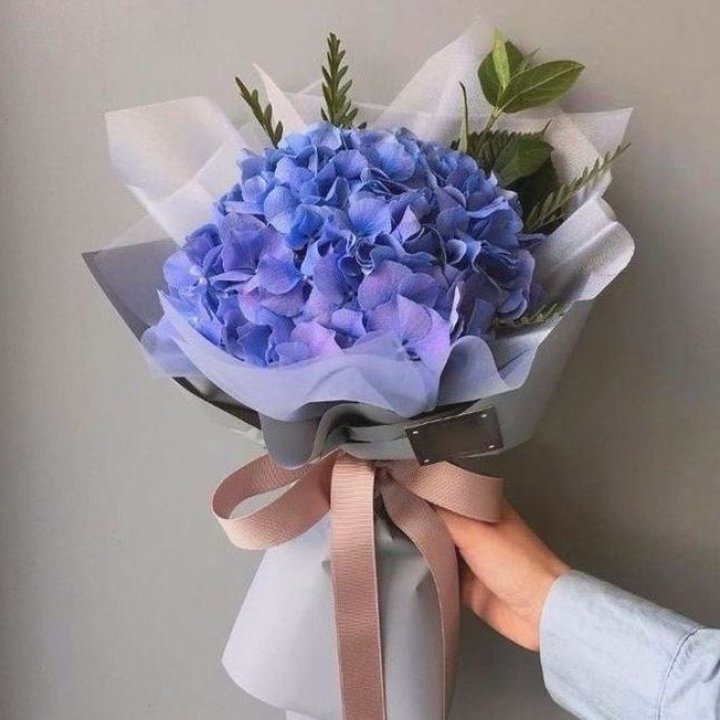 Гортензия "Blue" в Хосте и Кудепсте