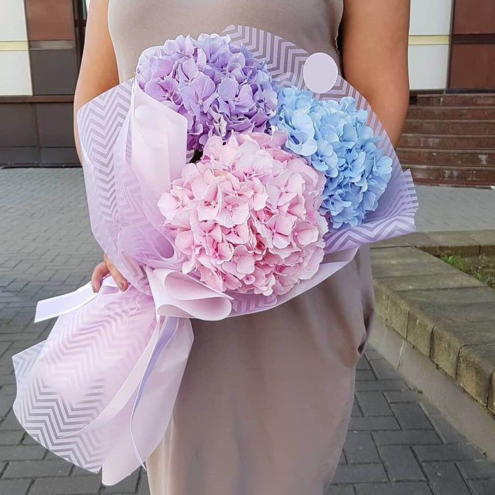 Букет гортензий "Puff" в Хосте и Кудепсте