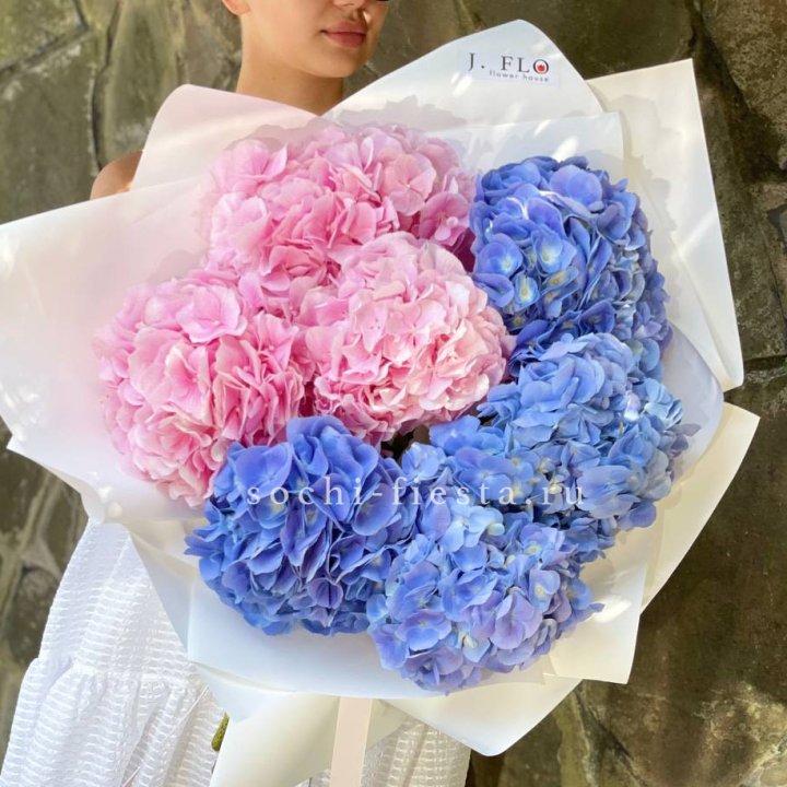 Букет гортензий "Wow" №1 в Хосте и Кудепсте