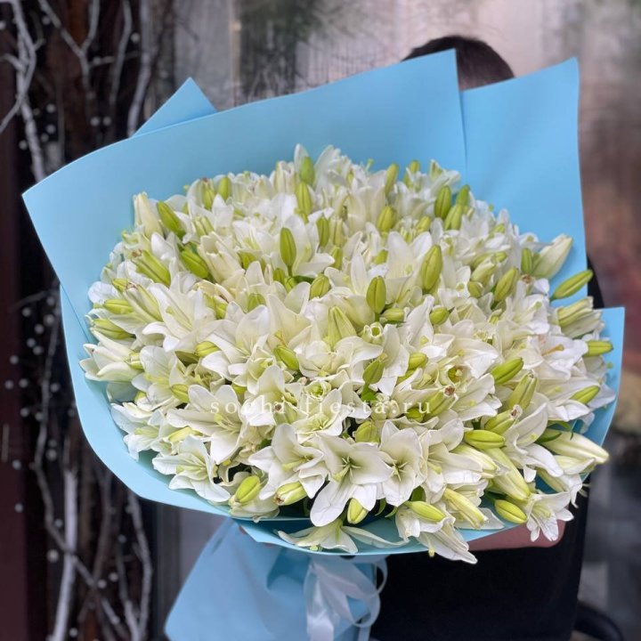 51 лилия в оформлении в Хосте и Кудепсте