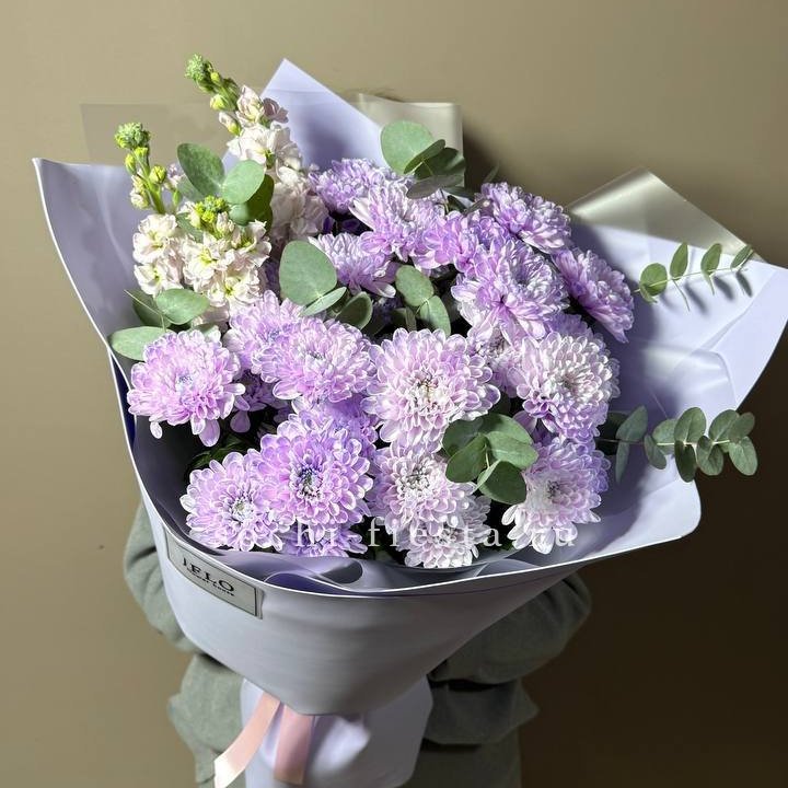 Дуо хризантема и маттиола в Хосте и Кудепсте