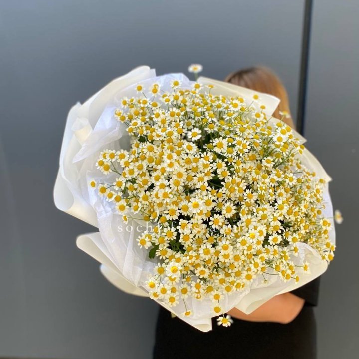 Букет ромашек "Family" в Хосте и Кудепсте