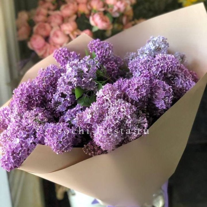 Букет сирени №2 в Хосте и Кудепсте