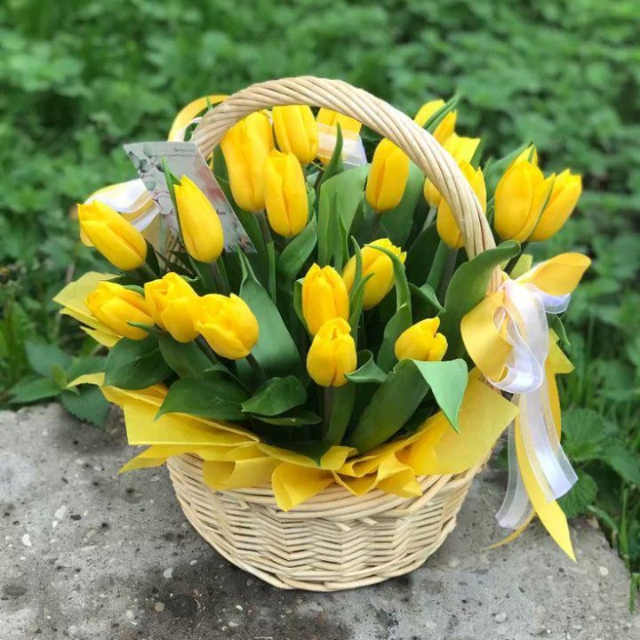25 желтых тюльпанов в корзине в Хосте и Кудепсте