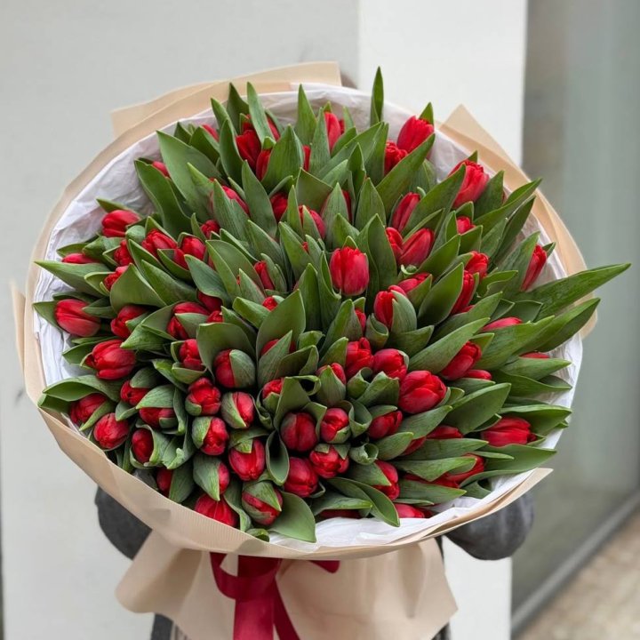 101 красный тюльпан в Хосте и Кудепсте