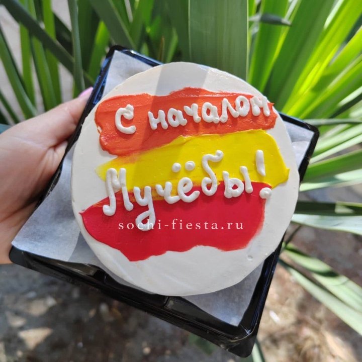 Бенто-торт "С началом учёбы"" в Хосте и Кудепсте