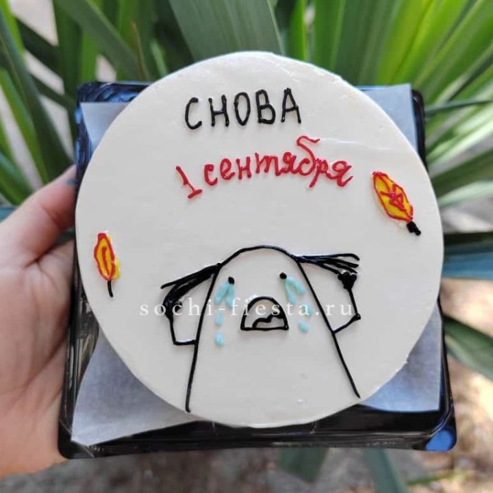 Бенто-торт "Не опять, а снова..." в Хосте и Кудепсте