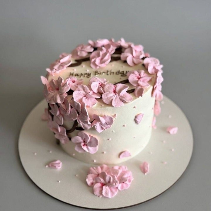 Бенто-торт "С днём рождения..." в Хосте и Кудепсте