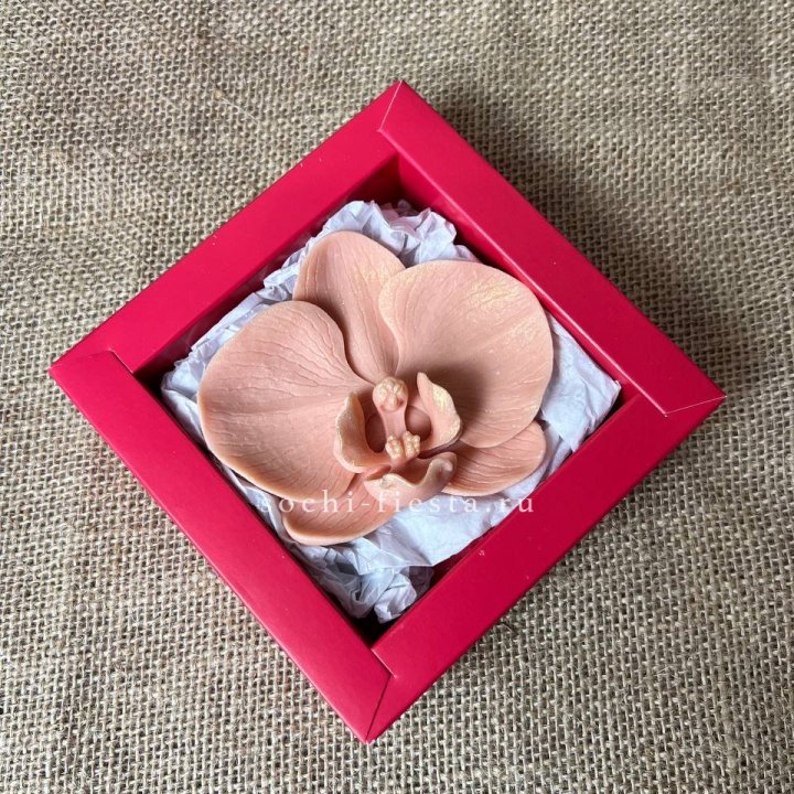 Бельгийский шоколад Орхидея в Хосте и Кудепсте