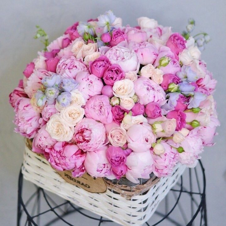 Композиция "Sphere" в Хосте и Кудепсте