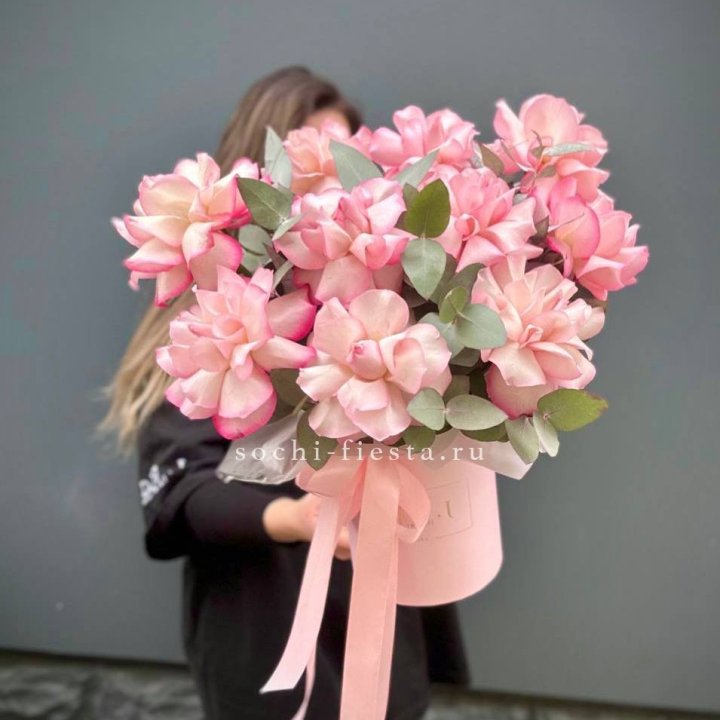 11 Фрунцузских роз "Венди" в Хосте и Кудепсте