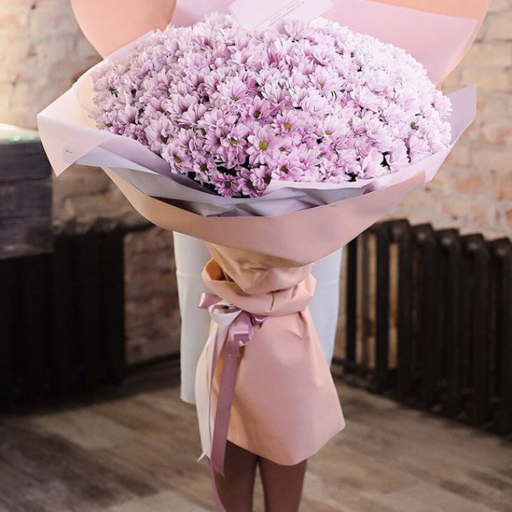 Облако хризантем №1 в Хосте и Кудепсте