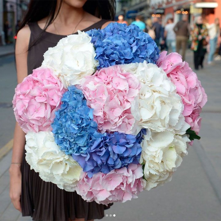 Букет гортензий "Инь-Янь" в Хосте и Кудепсте