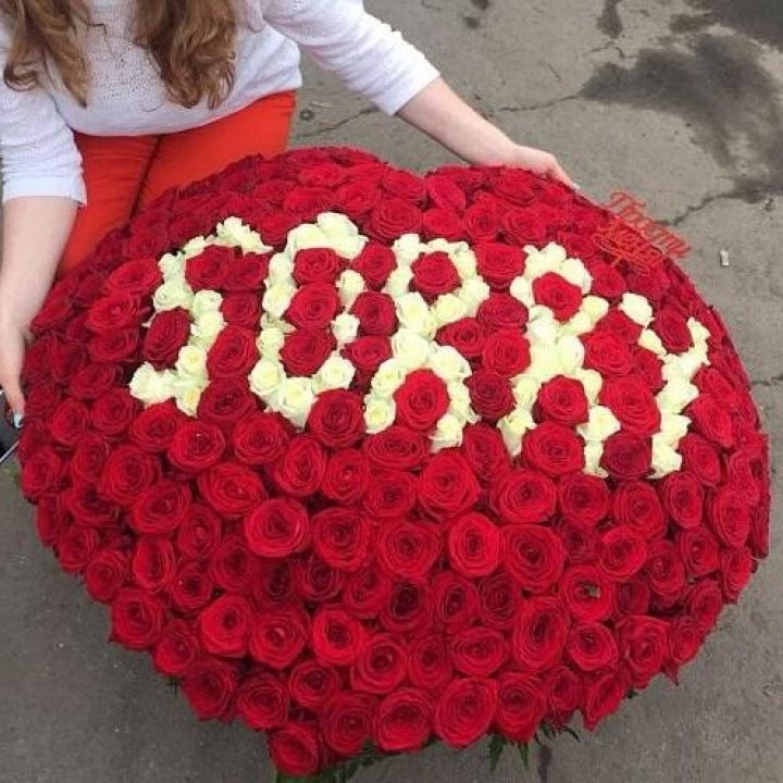 351 роза "Прости меня" в Хосте и Кудепсте