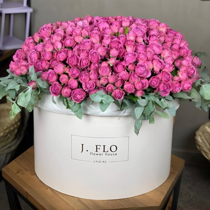 Цилиндр с Мисти Бабблс LUX в Хосте и Кудепсте