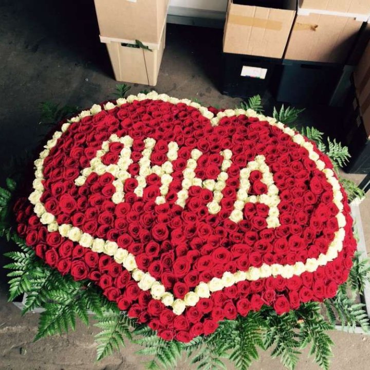 555 роз с именем в Хосте и Кудепсте