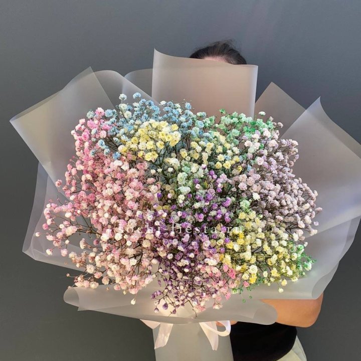 Радужные гипсофилы L в Хосте и Кудепсте