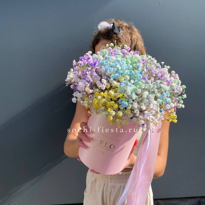 Радужные гипсофилы в шляпной коробке в Хосте и Кудепсте