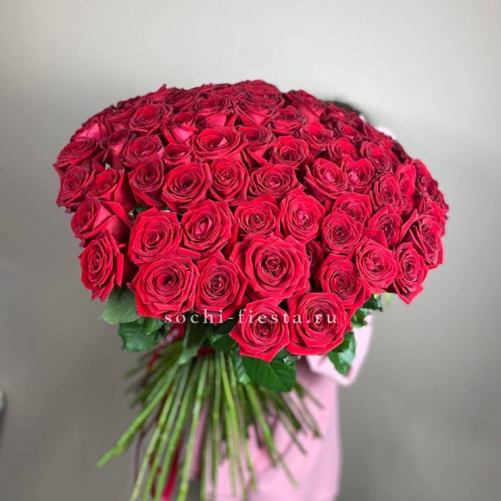 101  голландская роза  в Хосте и Кудепсте