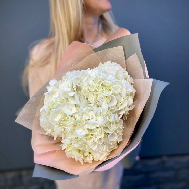 Гортензия Snow 3x в Хосте и Кудепсте